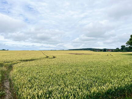 24-06-30 12-44-08 0033